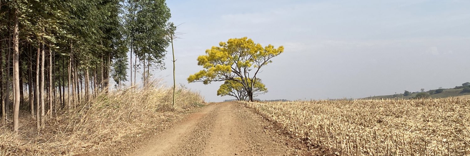 RosemaryPLima's profile banner image