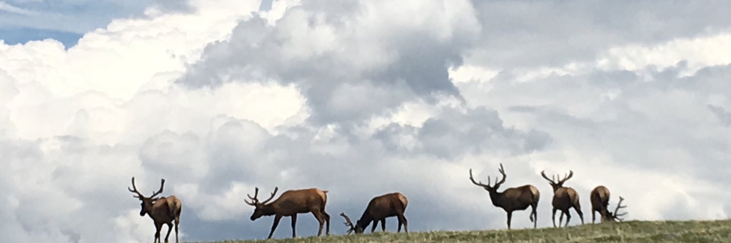 mcmom18's profile banner image