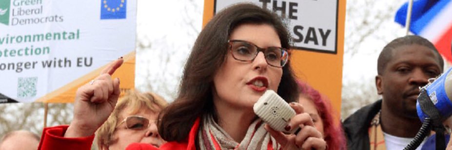 Weenson 🔶❤️The Guardian 🍉+tofu-eating wokeraties banner