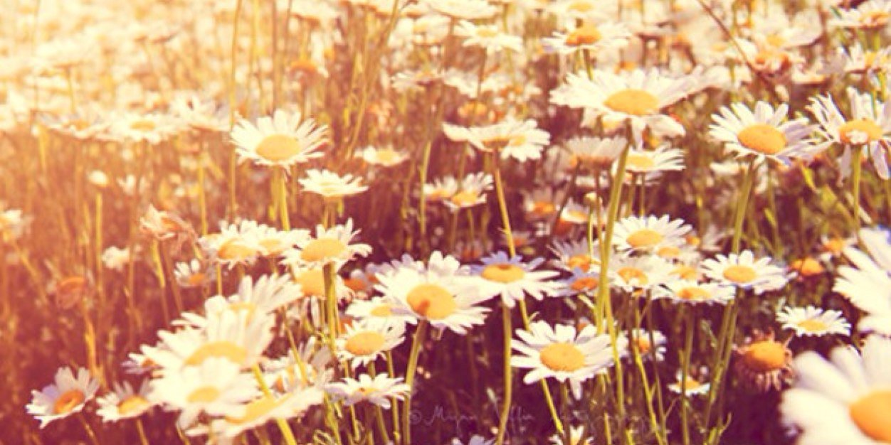 Narae912's profile banner image
