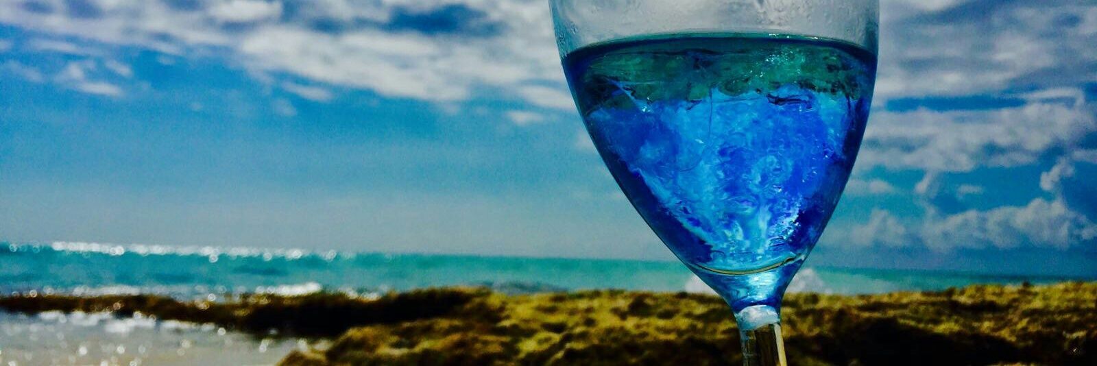 GiShark's profile banner image