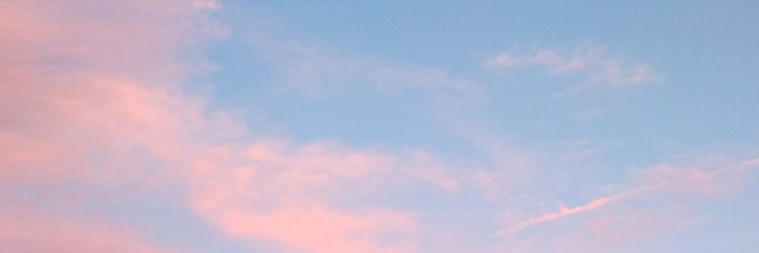 SarahCDroste's profile banner image