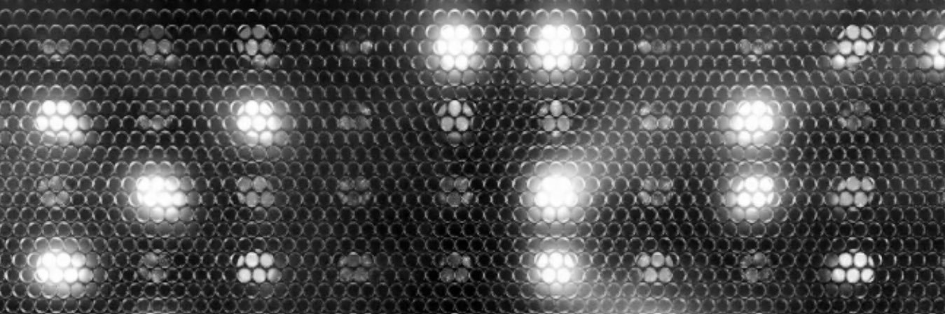 𝗗𝗮𝗮𝗻 𝗡𝗶𝗷𝗸𝗮𝗺𝗽 banner