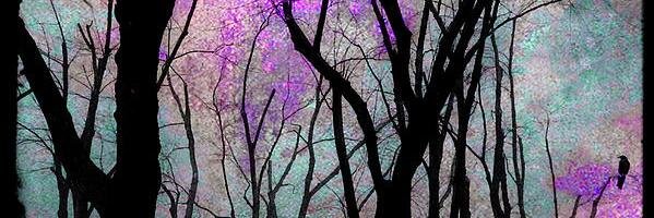 gizesin's profile banner image