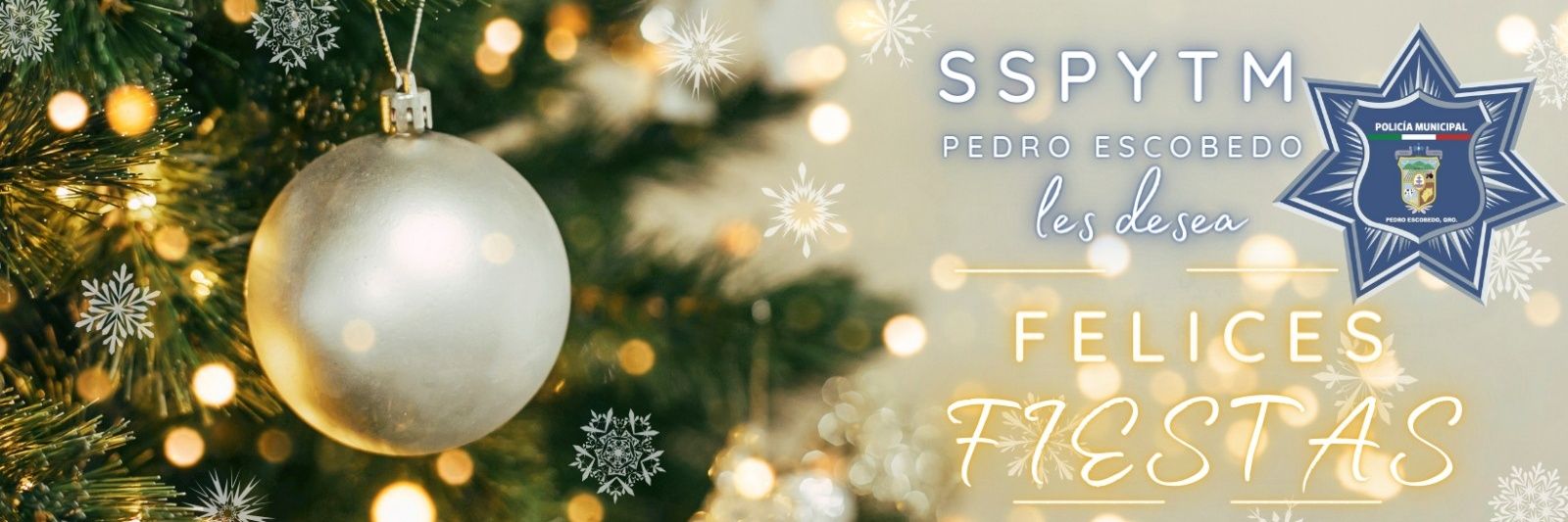 SSPyTM Pedro Escobedo banner