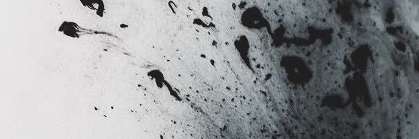 camillex90's profile banner image
