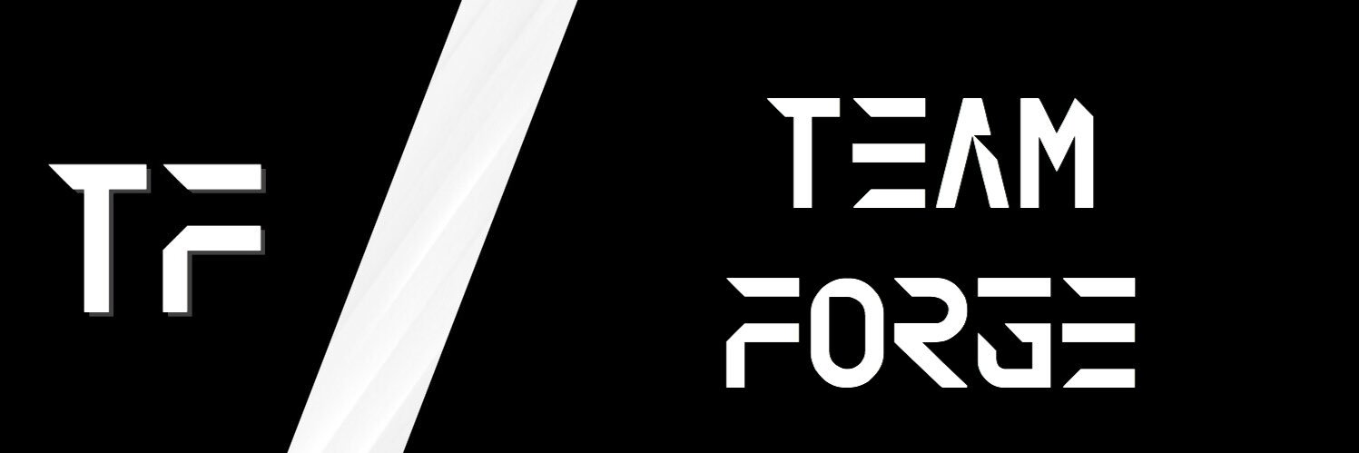 Team Forge banner