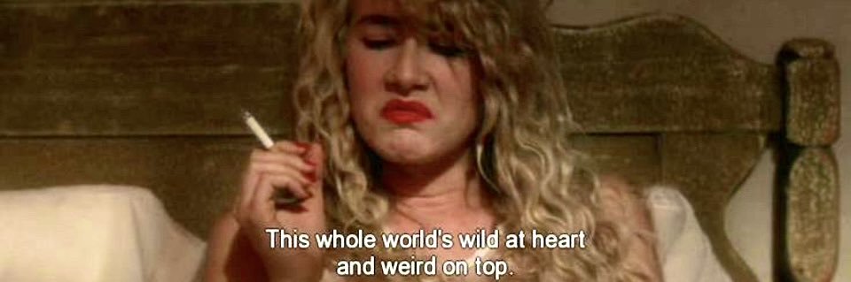 H HARTE 💀🎶 banner