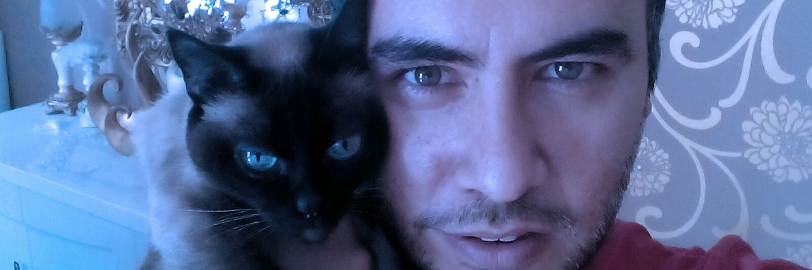 muratucal1981's profile banner image