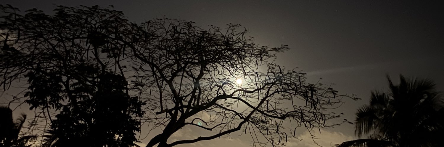 Carma_01's profile banner image