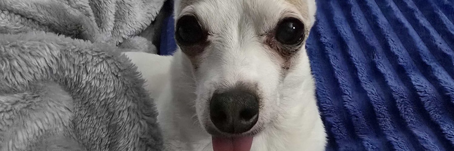 Cheeto_124's profile banner image