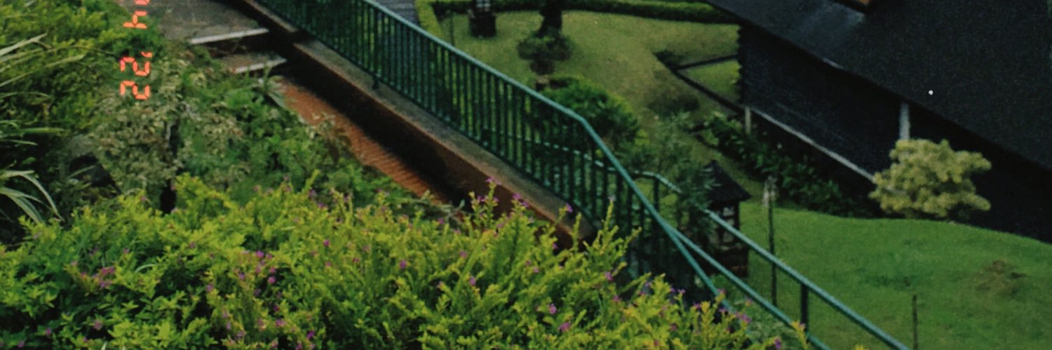 nelaarizeni12's profile banner image