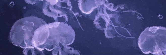 elle banner