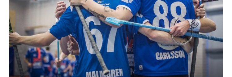 Niklas Bengtsson banner