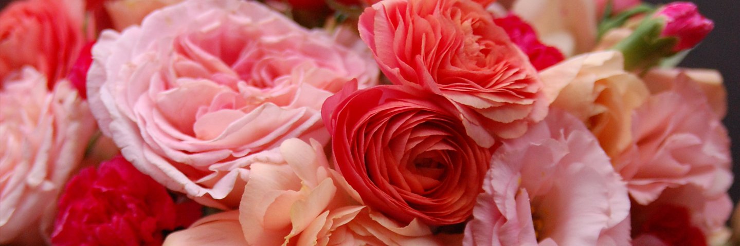 BVizoso's profile banner image