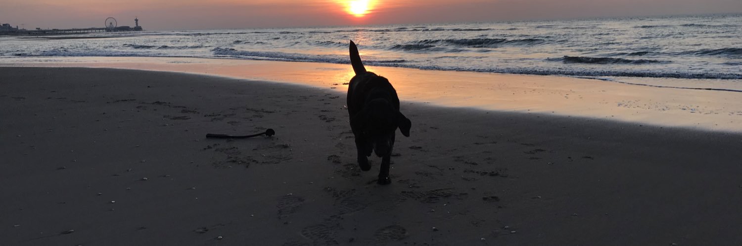 Milena M van Not banner