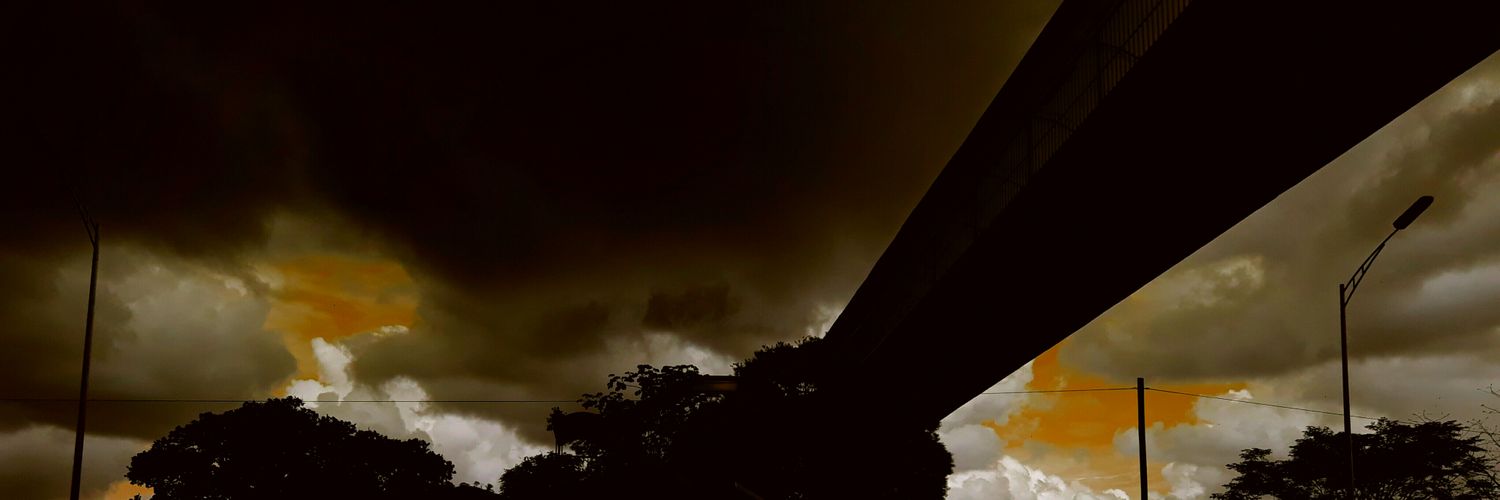 1317luish's profile banner image