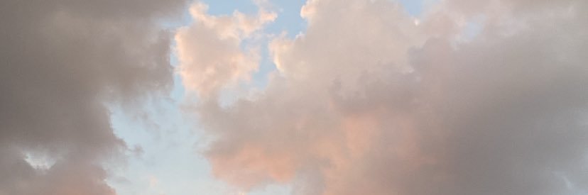 bananablog_ banner