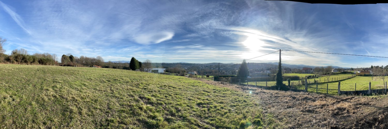 Beatriz Feijoo banner