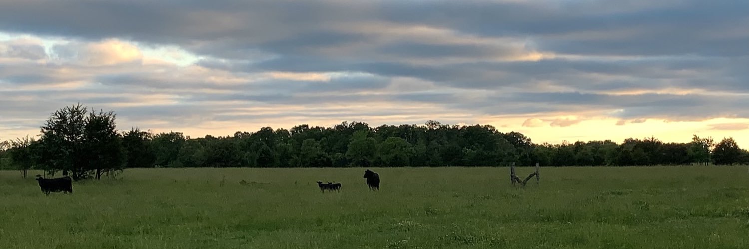 Nate Harrison banner