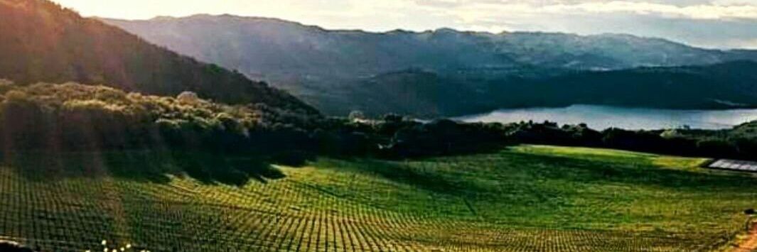 Walter Fletcher banner