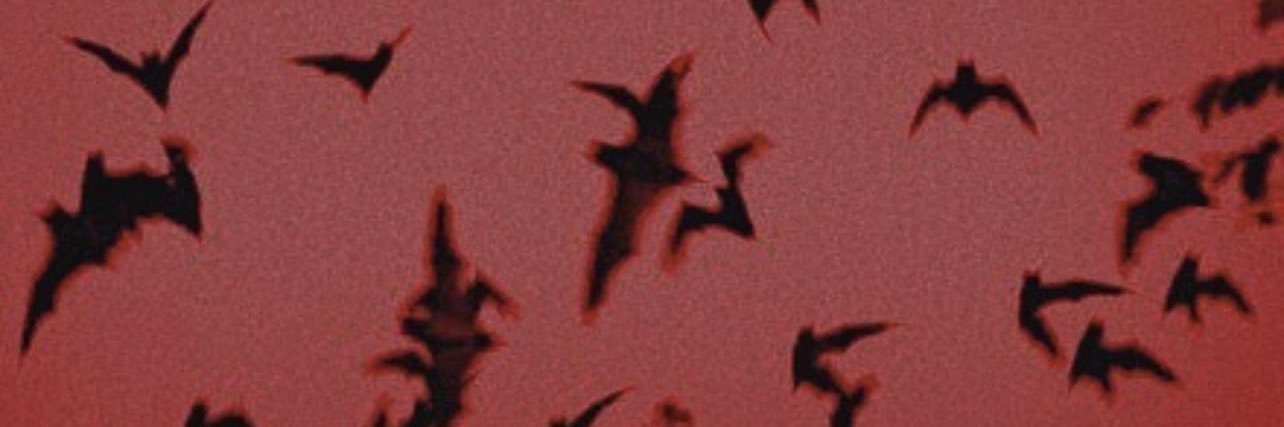 FakeG_'s profile banner image