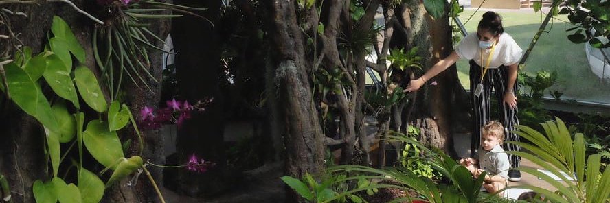 Head of Primary | The Arbor School - Daniel Nichol banner