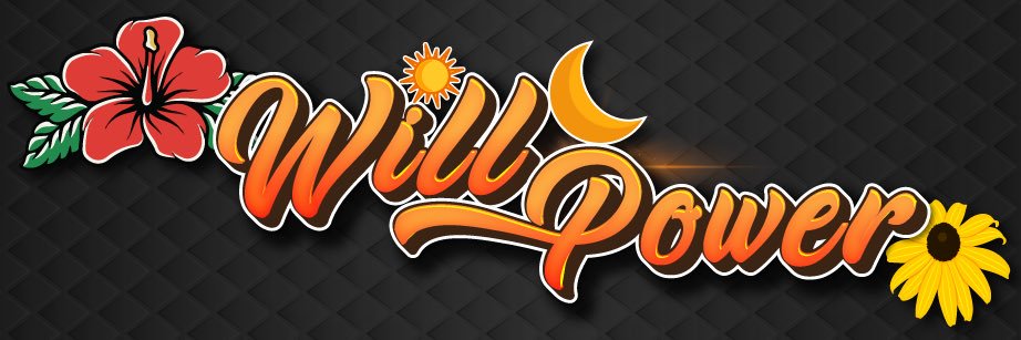 𝙒𝙊𝙍𝙇𝘿𝙒𝙄𝘿𝙀 𝙒𝙄𝙇𝙇🌐 banner