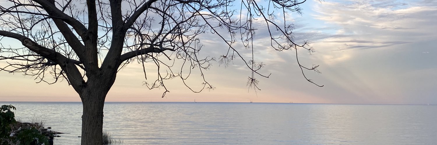 Beluu_Arg's profile banner image