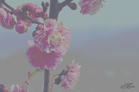Mariam__42's profile banner image
