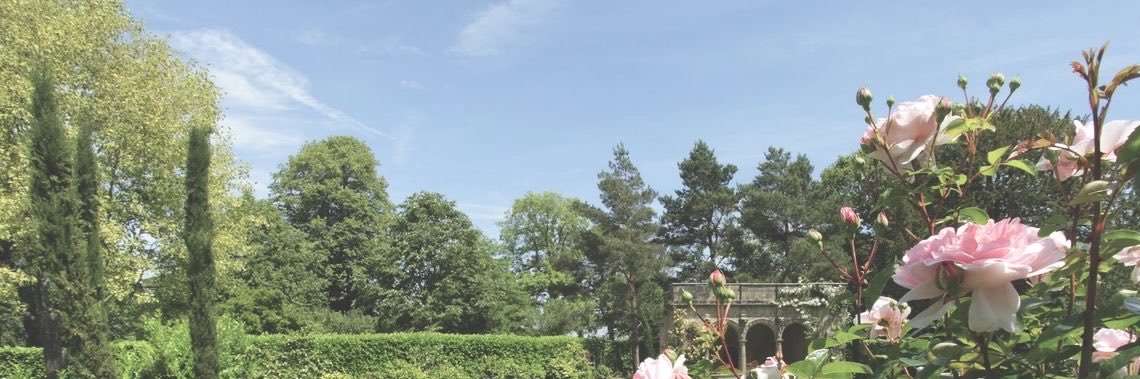 Minjux's profile banner image