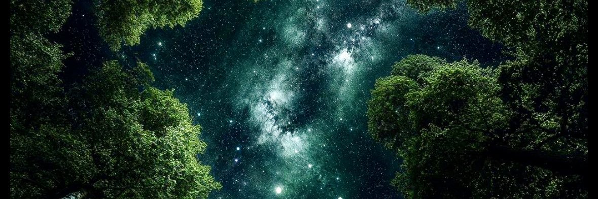 melissacbus's profile banner image