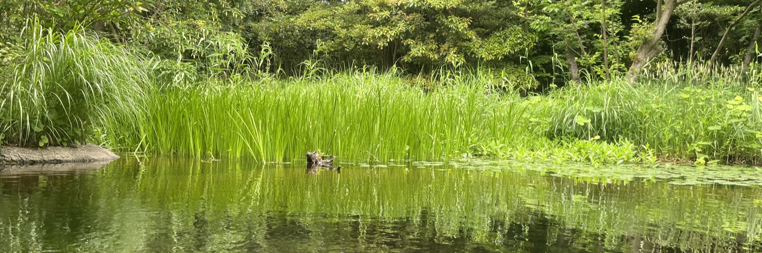 本間正人 「学習学」と「最新学習歴の更新」を提唱しています！ banner