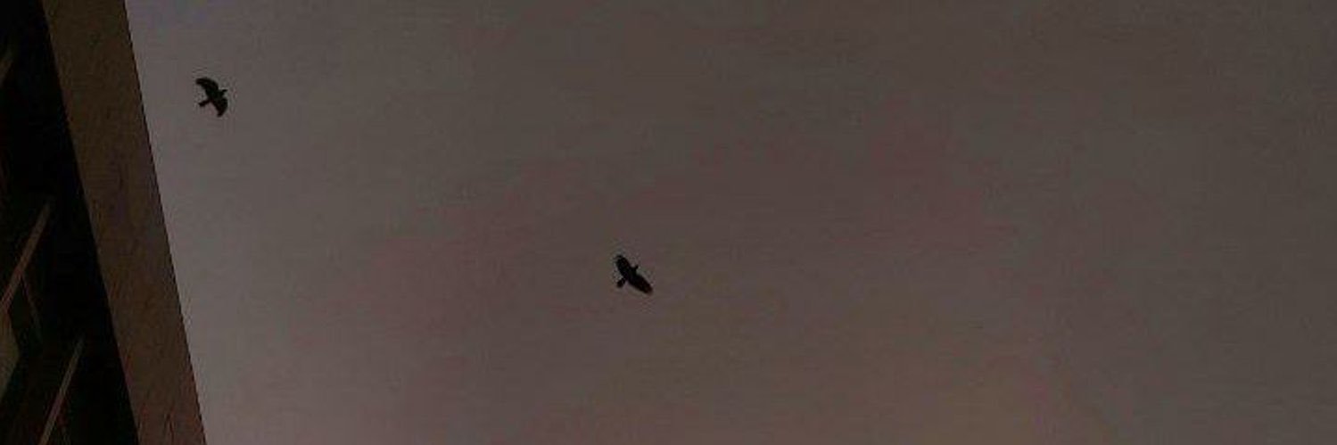 baraah_tr's profile banner image