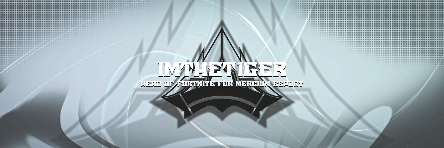 ImTheT1ger banner