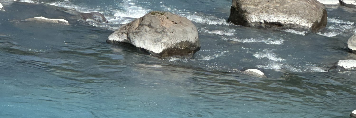 kobihoshi💫👩‍🎤✍️⚔️🥊🪞👤⛩️🎹🪭 banner