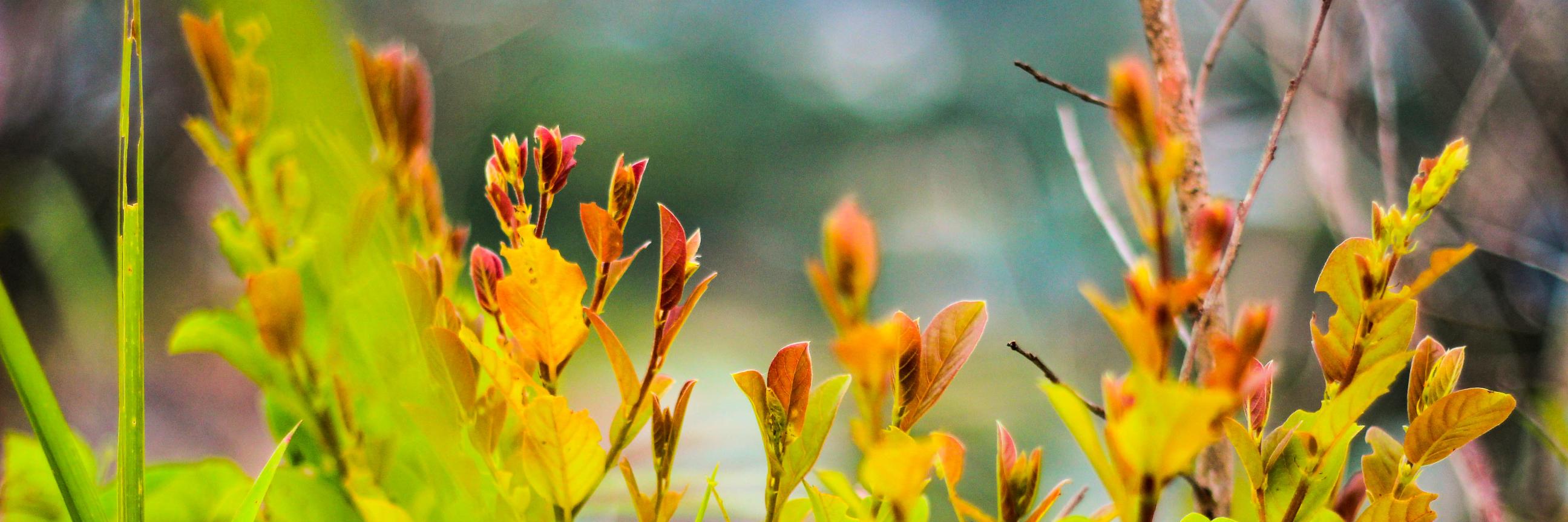 Ufick_Reagans's profile banner image