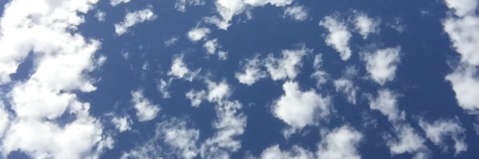 Laura Cabrera banner