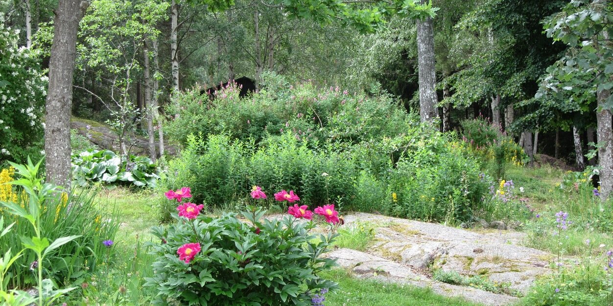 Petra Wikström banner