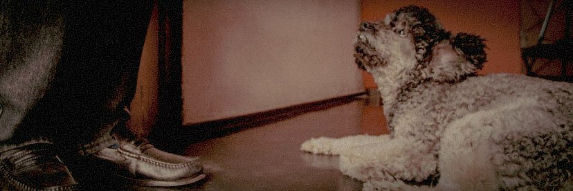 sjec19's profile banner image