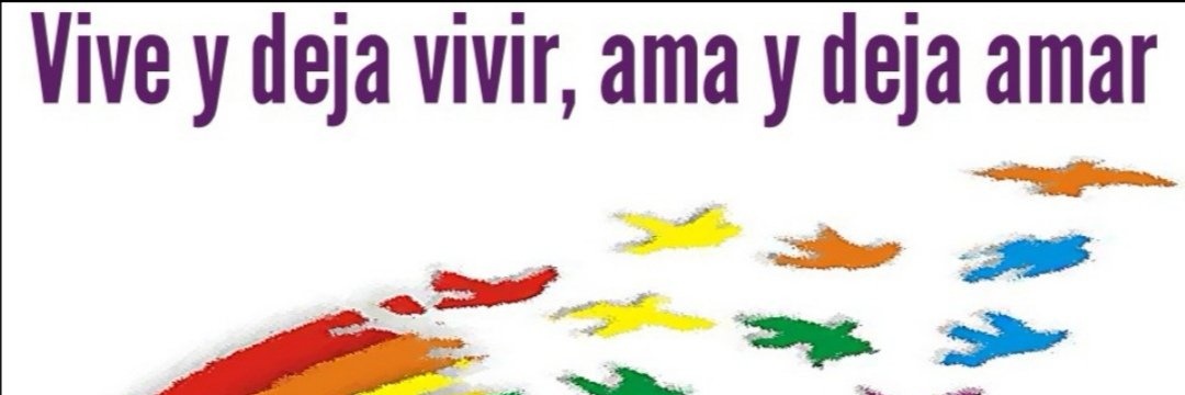 Canariona64's profile banner image