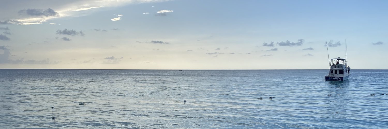 deidyzzle's profile banner image