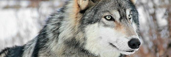 Kharly21's profile banner image