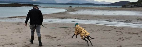 BetsyTrotwoof Profile Banner