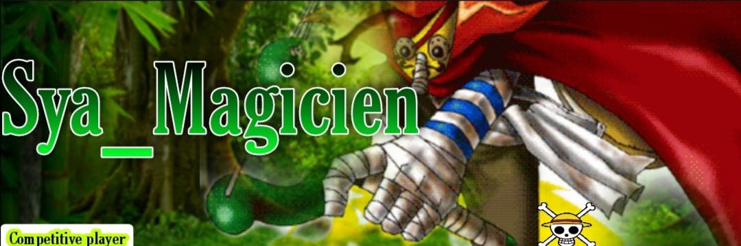 Tiktok propaxfn banner