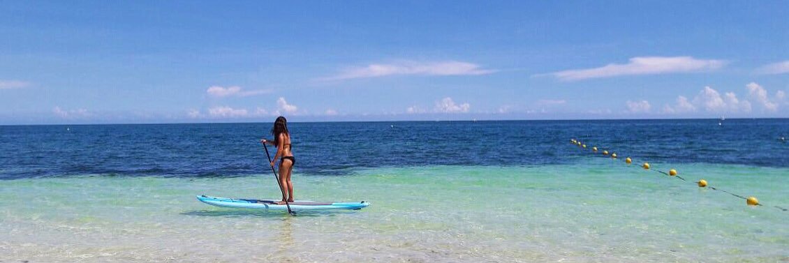 IM 🐚 banner