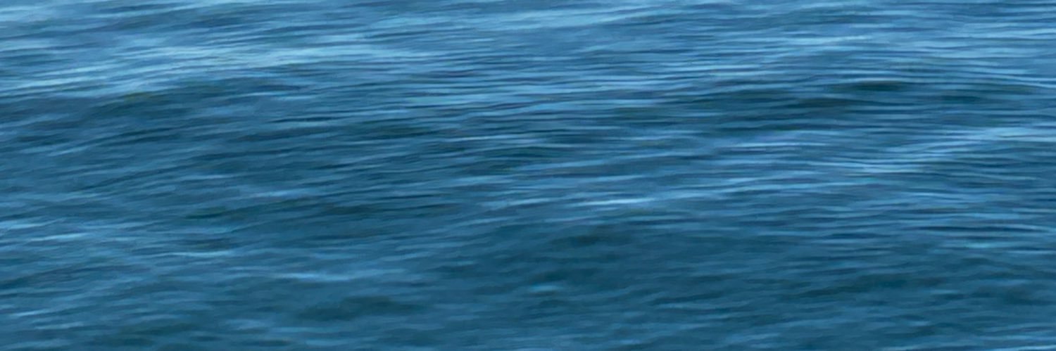 ___Lofi's profile banner image