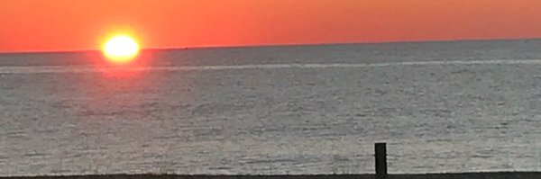 ProfPMcMahon Profile Banner