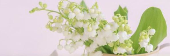 ぴーちゃん@調剤もOTCも在宅も banner