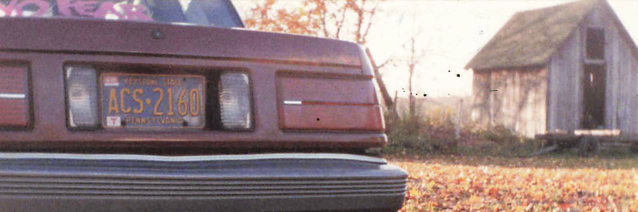 Matthew Wimer banner